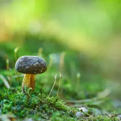 Suknia jak kapłanka: odkryj tajemnicze symbole i modowe inspiracje